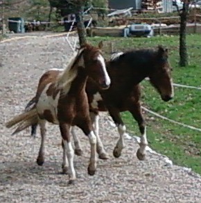 Photo de profil de uranie74