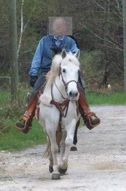 Photo de profil de vaherve