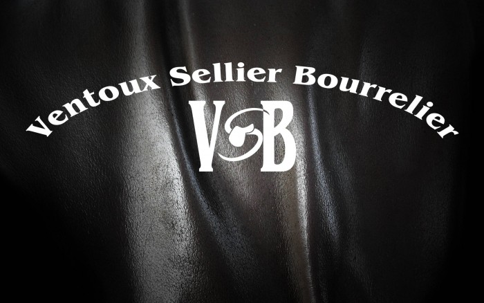 Photo de profil de ventoux