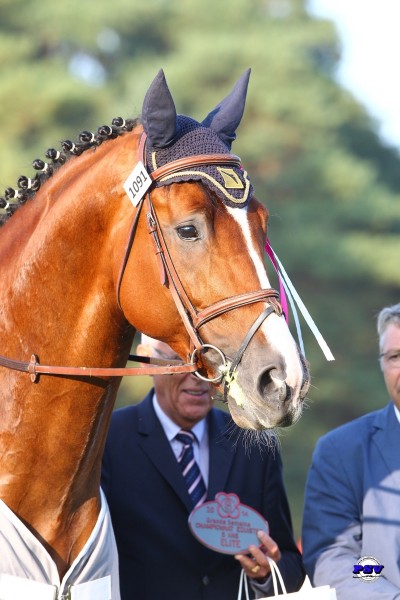 Photo de profil de verboisdesm