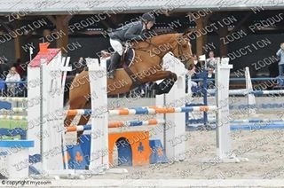 Photo de profil de adel59194