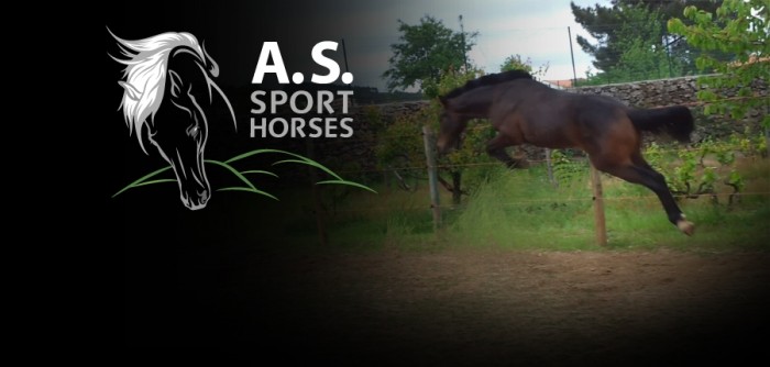 Photo de profil de alcides