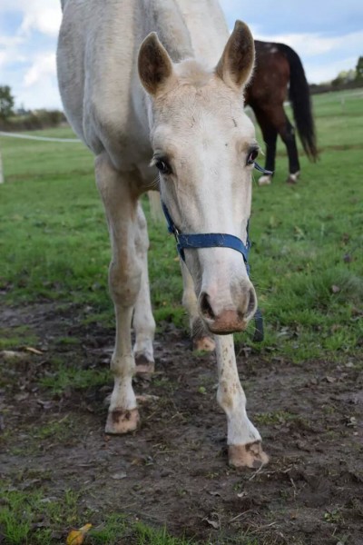 Photo de profil de alexannedbs