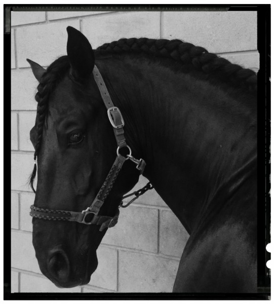 Photo de profil de alexjess