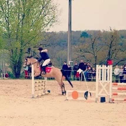 Photo de profil de alicecamb