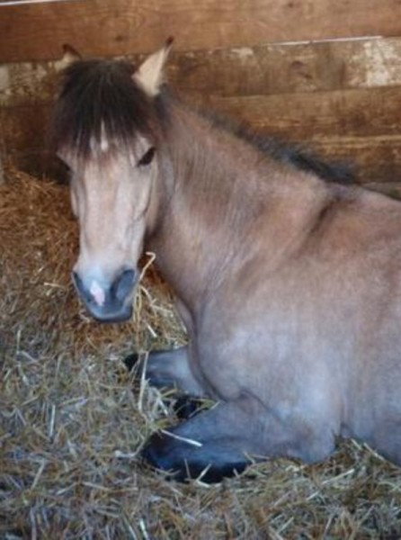 Photo de profil de aliceuhel