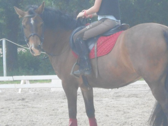 Photo de profil de alilidu28