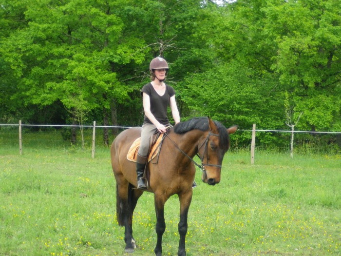 Photo de profil de amadeo