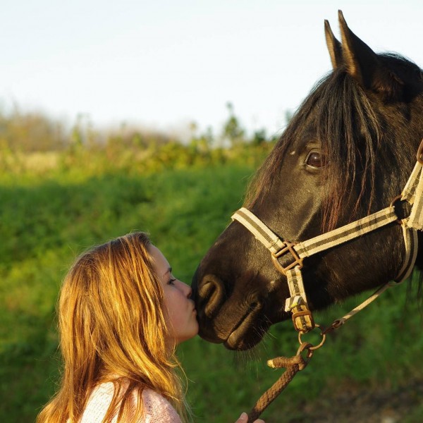 Photo de profil de amandinehorse