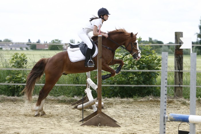 Photo de profil de amely51