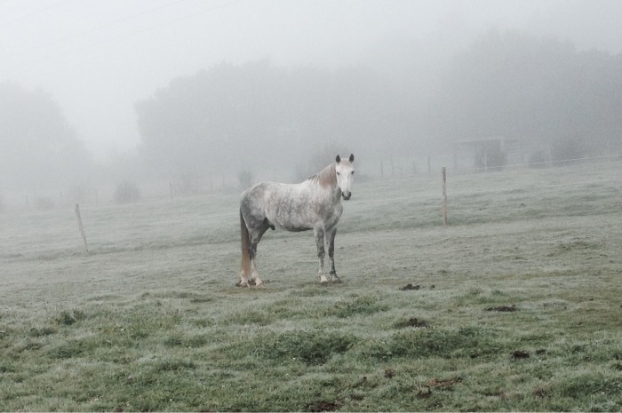 Photo de profil de anis49