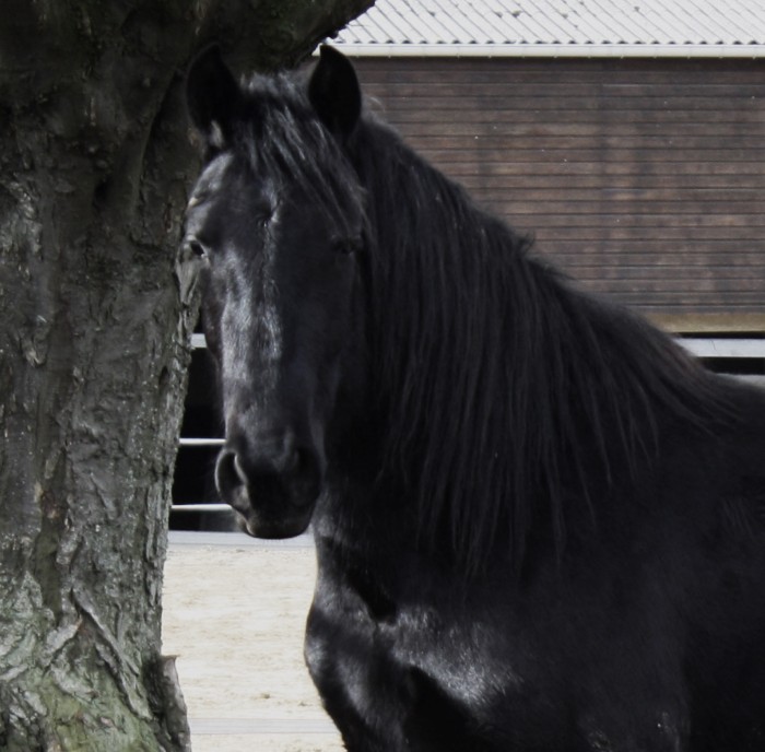 Photo de profil de annaig