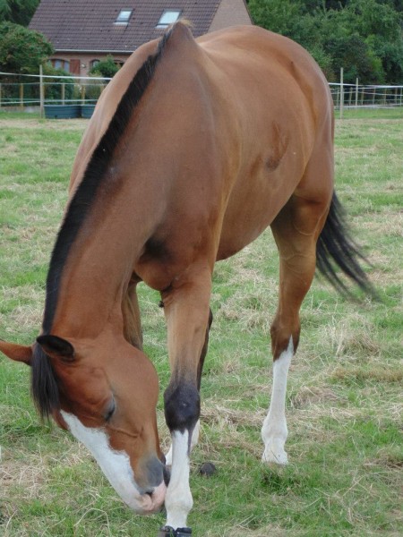 Photo de profil de arine