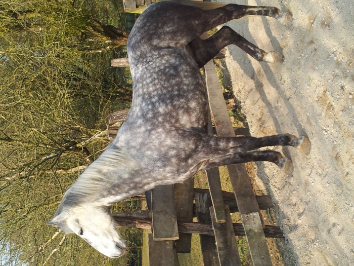 Photo de profil de attos21