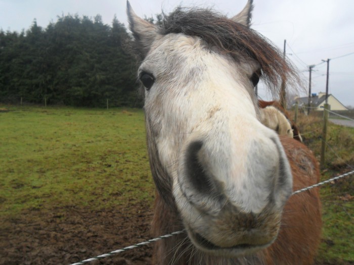 Photo de profil de audreypome
