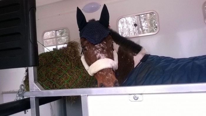 Photo de profil de aurelie88