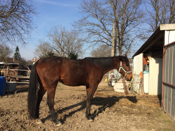 Photo de profil de aureliegiulia