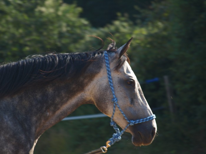 Photo de profil de azar86