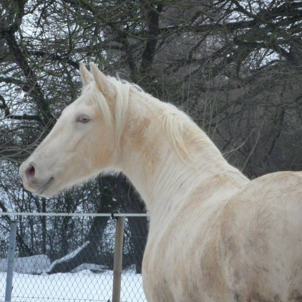 Photo de profil de bakara54