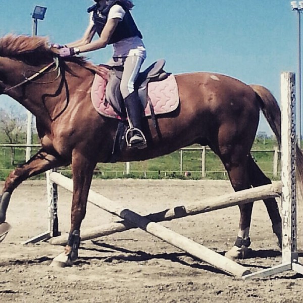 Photo de profil de becca31200