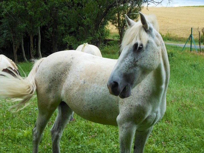Photo de profil de belly
