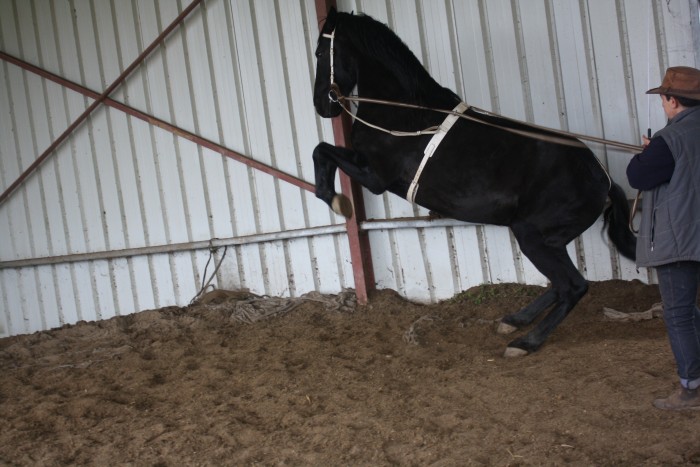 Photo de profil de bidaou