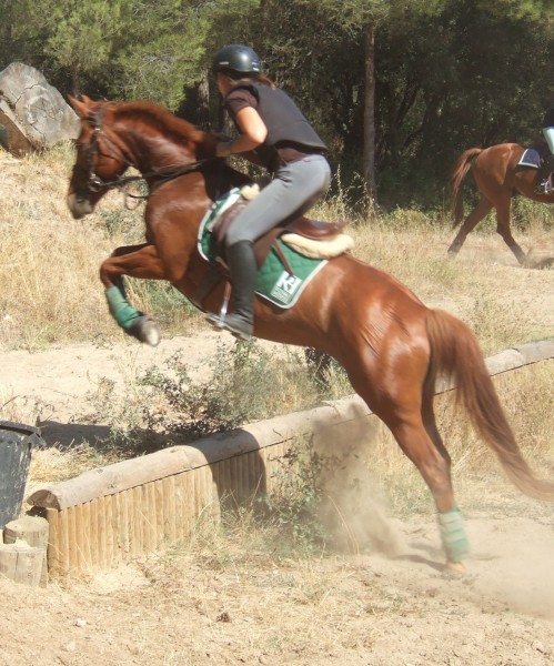 Photo de profil de blingkisa