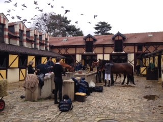 Photo de profil de bvs2s