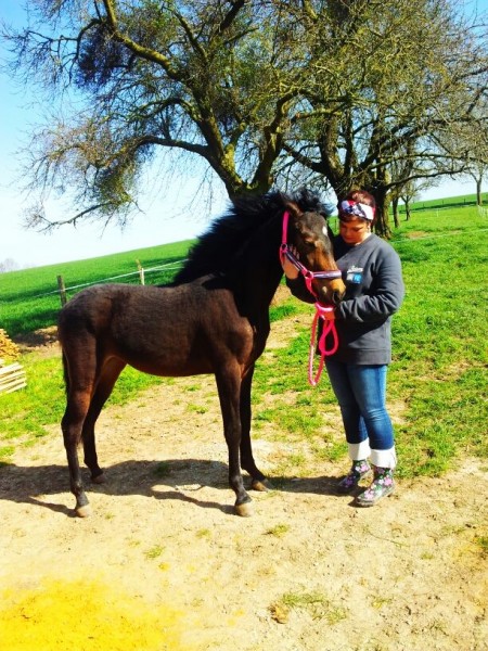 Photo de profil de camazelia