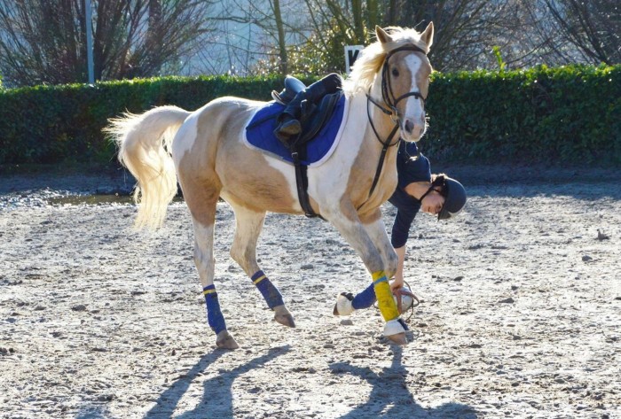 Photo de profil de camille61