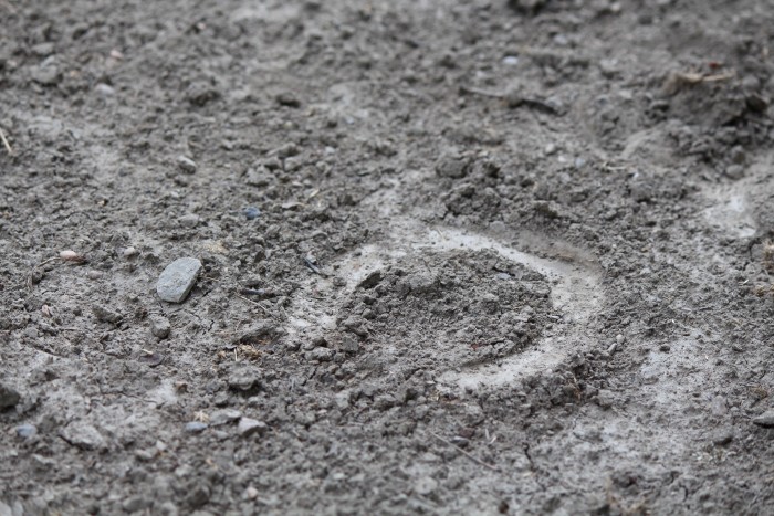 Photo de profil de camkim