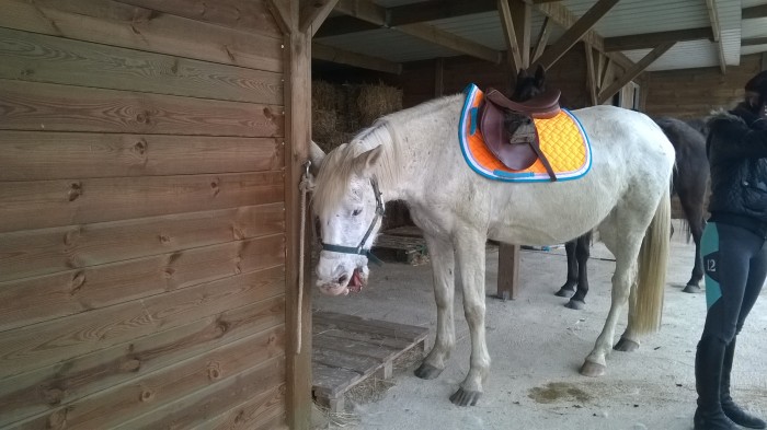 Photo de profil de celeste.pepsi
