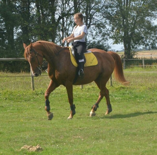 Photo de profil de charlaineqjd