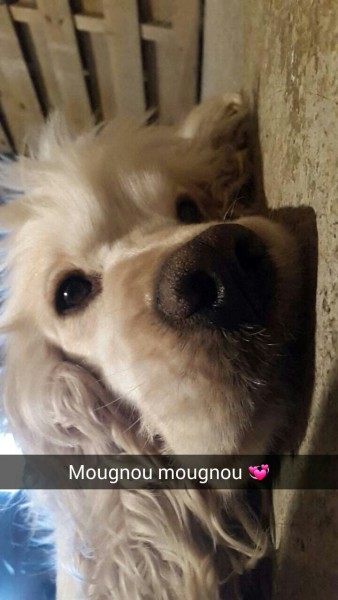 Photo de profil de chevalforever_