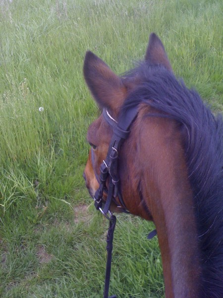 Photo de profil de chlloel_