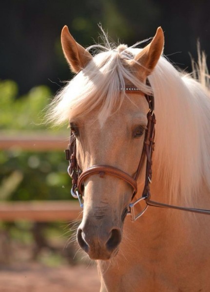 Photo de profil de chloeb83