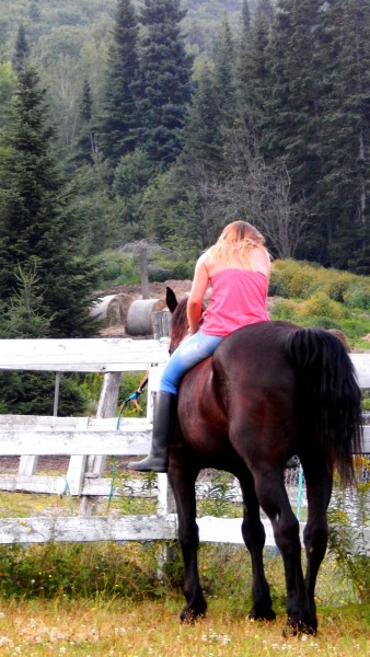 Photo de profil de clairelaupretre