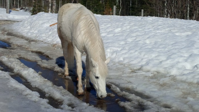 Photo de profil de clau11