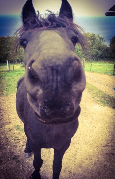 Photo de profil de cliewig