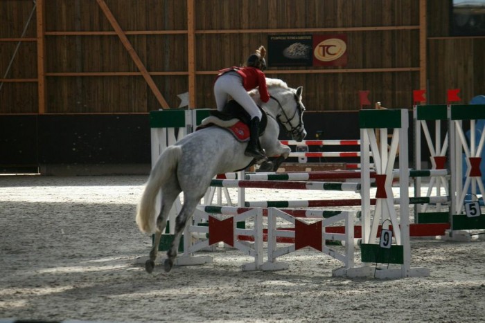 Photo de profil de cloe_msd