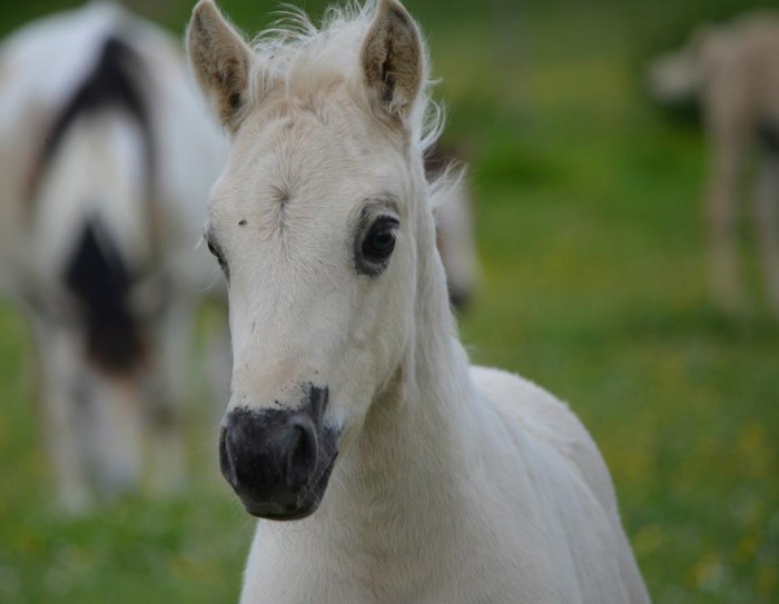 Photo de profil de cooper1716