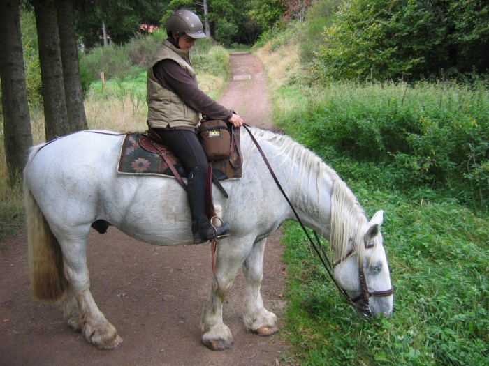 Photo de profil de dominorambo