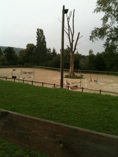 Photo de profil de ecurie57