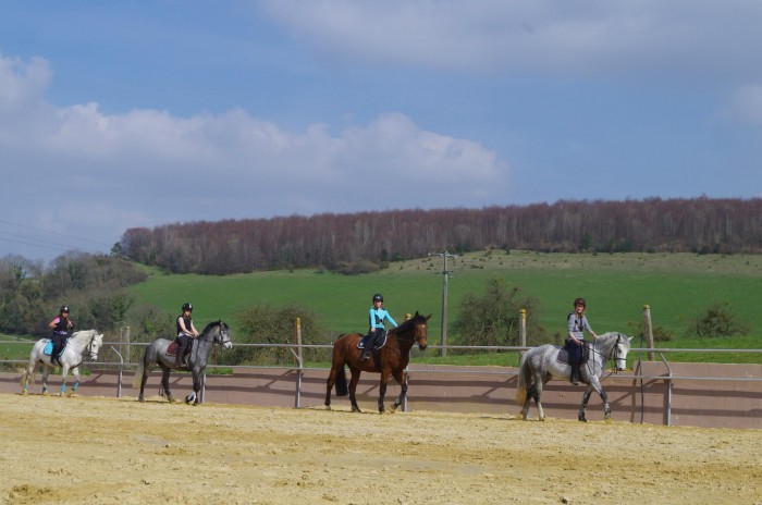 Photo de profil de ecurieducornet