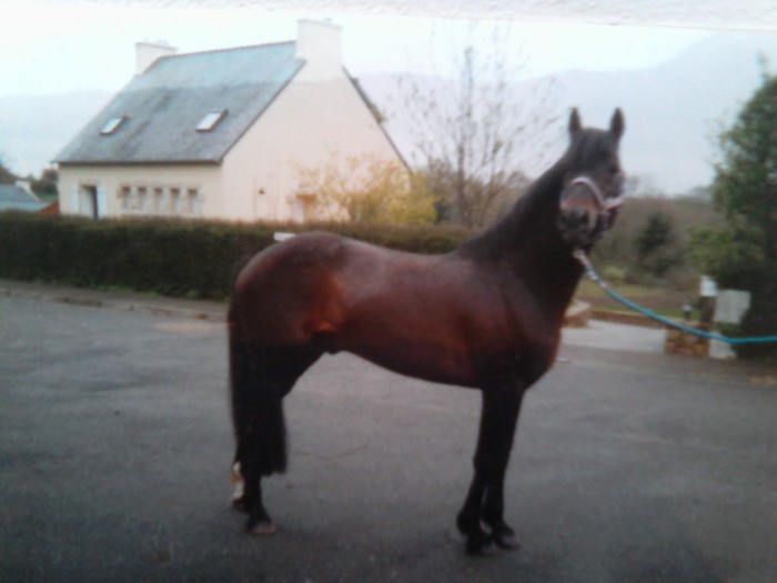 Photo de profil de elevageporsmean