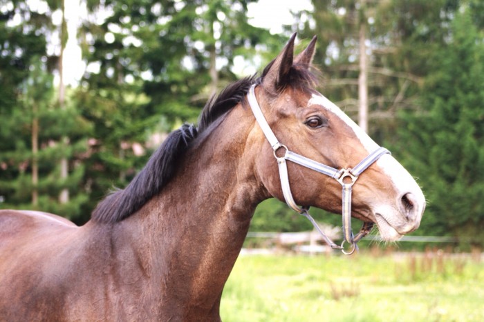 Photo de profil de ensudre