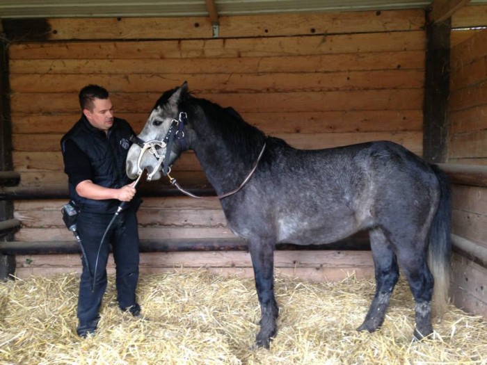 Photo de profil de equident61