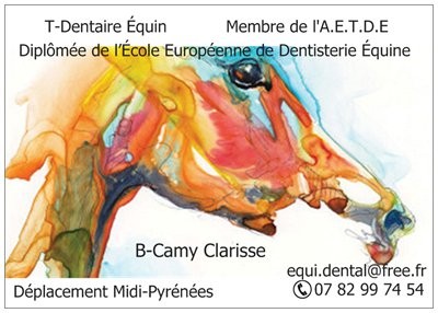Photo de profil de equi.dental