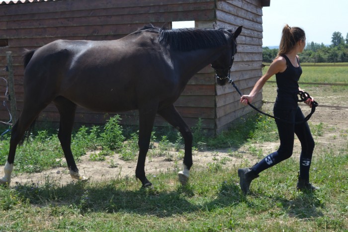 Photo de profil de fadiez