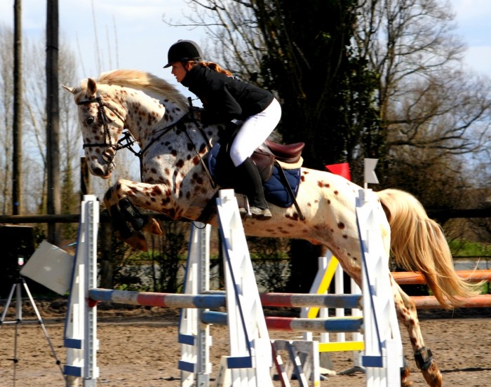 Photo de profil de fanny.dejonghe
